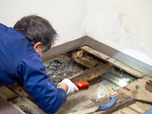 Best Crawl Space Mold Removal  in Harsville, RI