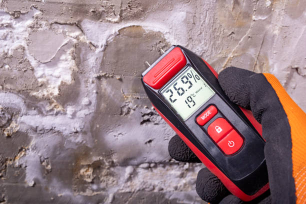 Best Best Mold Removal Companies  in Harsville, RI
