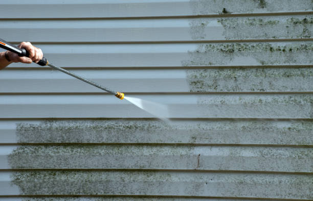 Best Mold Removal Specialists  in Harsville, RI