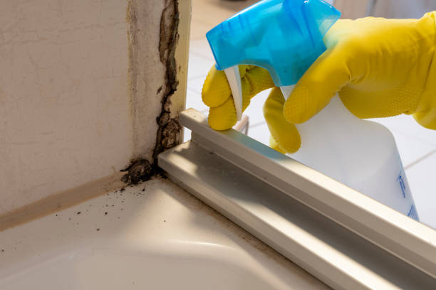  Harsville, RI Mold Removal Pros
