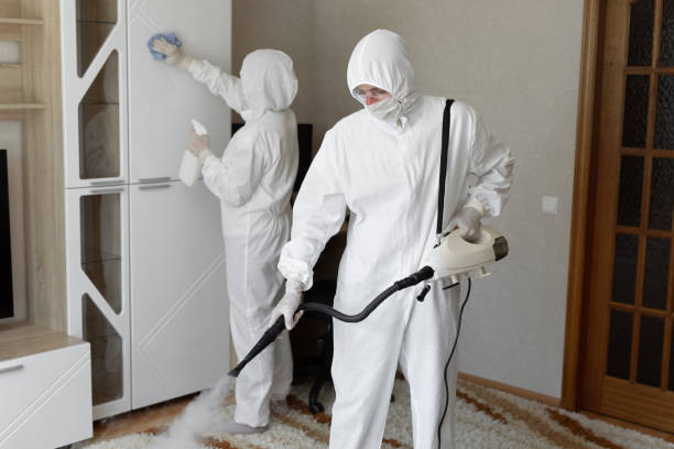 Best Mold Damage Repair  in Harsville, RI