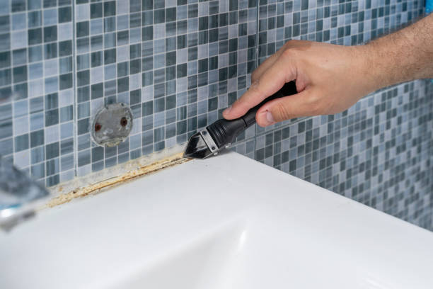 Best Local Mold Removal Service  in Harsville, RI