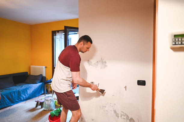 Best Best Mold Removal Companies  in Harsville, RI